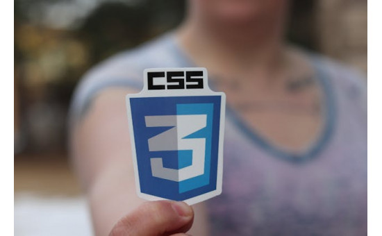 HTML, CSS et Javascript pour les développeurs web